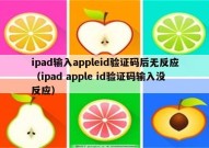 ipad输入appleid验证码后无反应（ipad apple id验证码输入没反应）