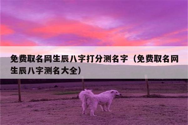 免费取名网生辰八字打分测名字(免费取名网生辰八字测名大全)